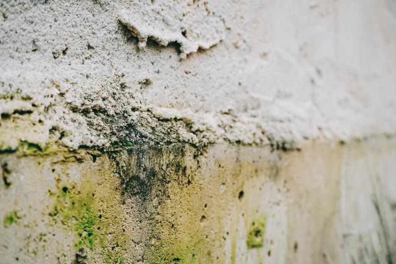A moldy cement wall