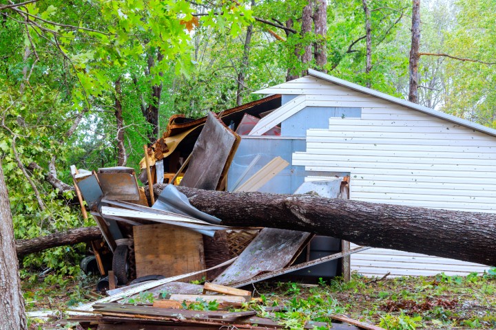 A home damaged by a fallen tree