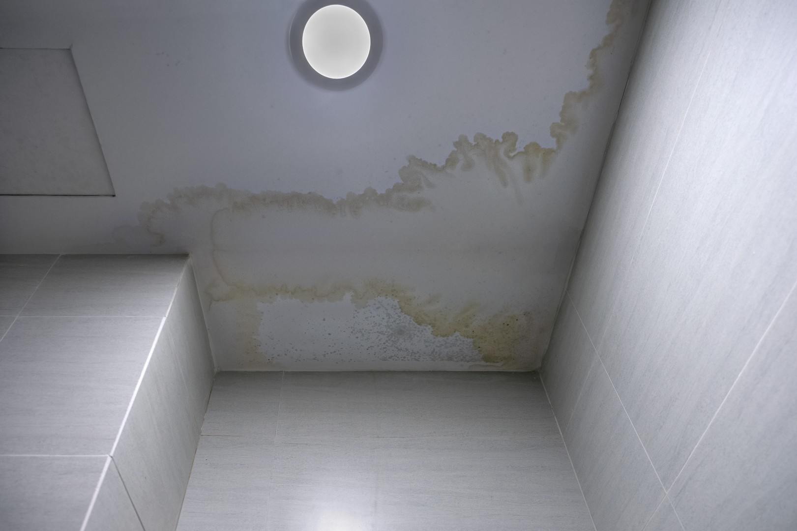 Ceiling with brown water stains and damp patches around a circular ceiling light fixture in a tiled room.