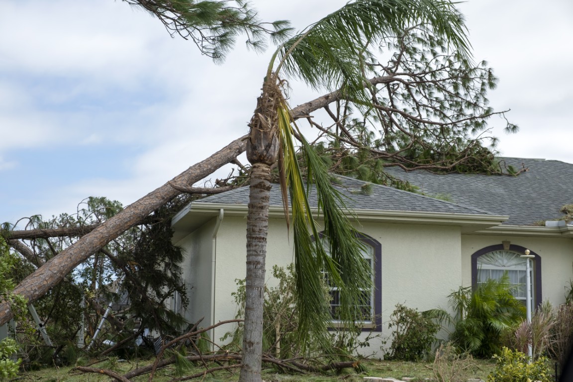 A home with fallen-tree roof damage